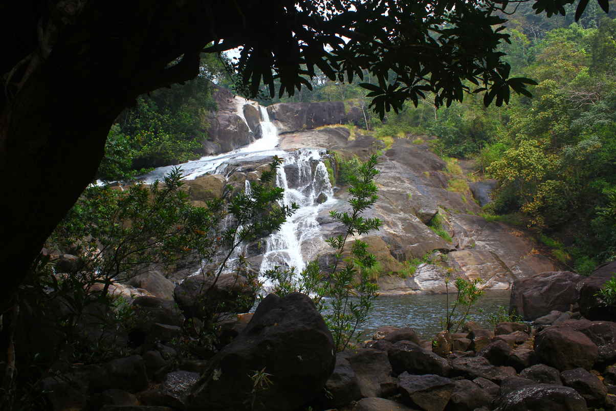 tourist places to visit in wayanad- meenmutty waterfalls