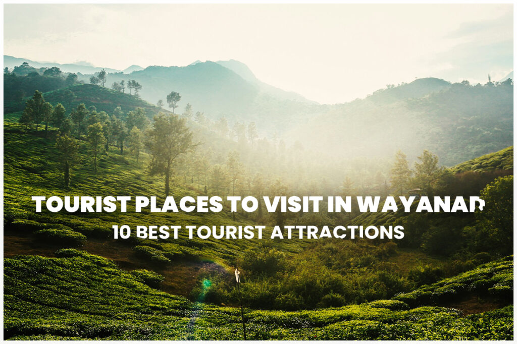 Tourist Places to Visit in Wayanad: 10 Best Tourist Attractions