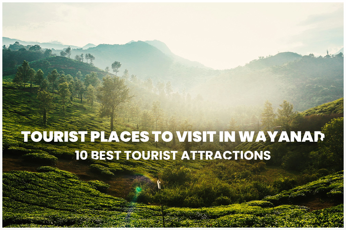 tourist places to visit in wayanad- blog image