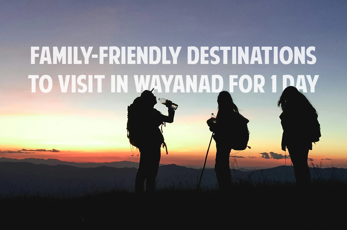 Places to Visit in Wayanad in 1 day