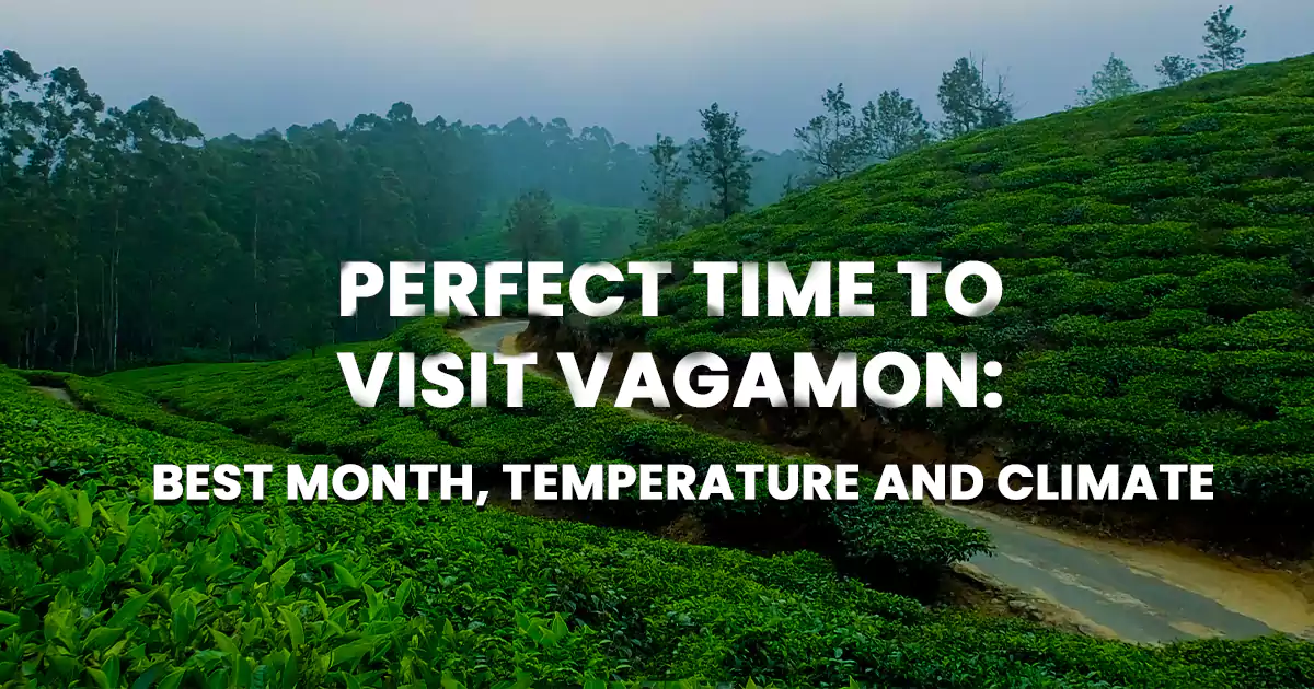 Perfect Time to Visit Vagamon Best Month, Temperature and Climate.