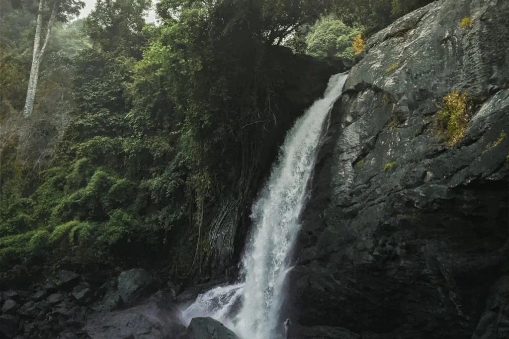 Soochipara waterfalls wayanad, Idukki. places to visit in wayanad in 1 day