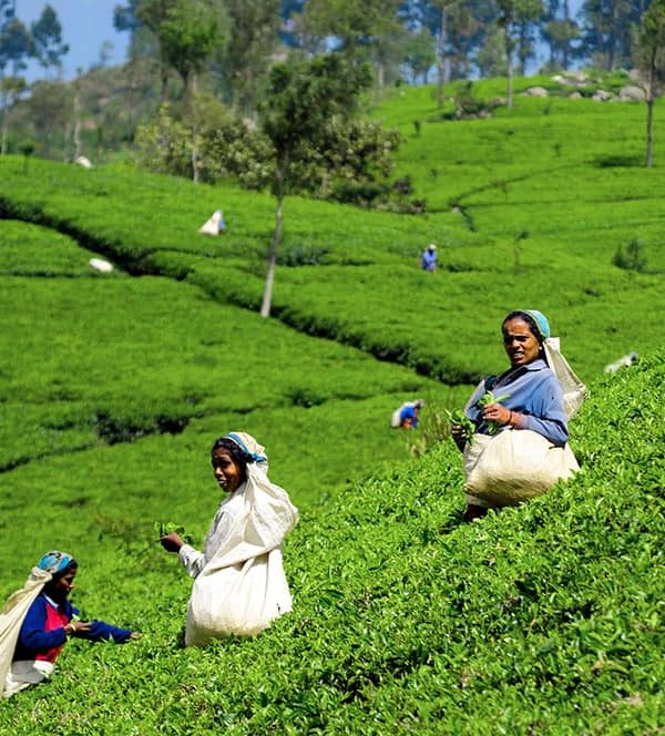 best travel agency for kerala