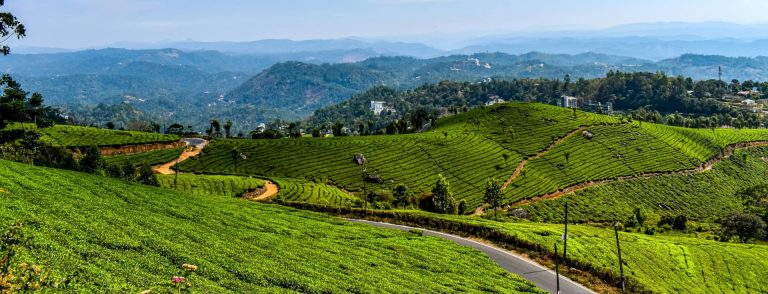 munnar_2
