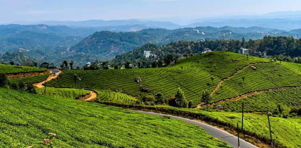 munnar_2