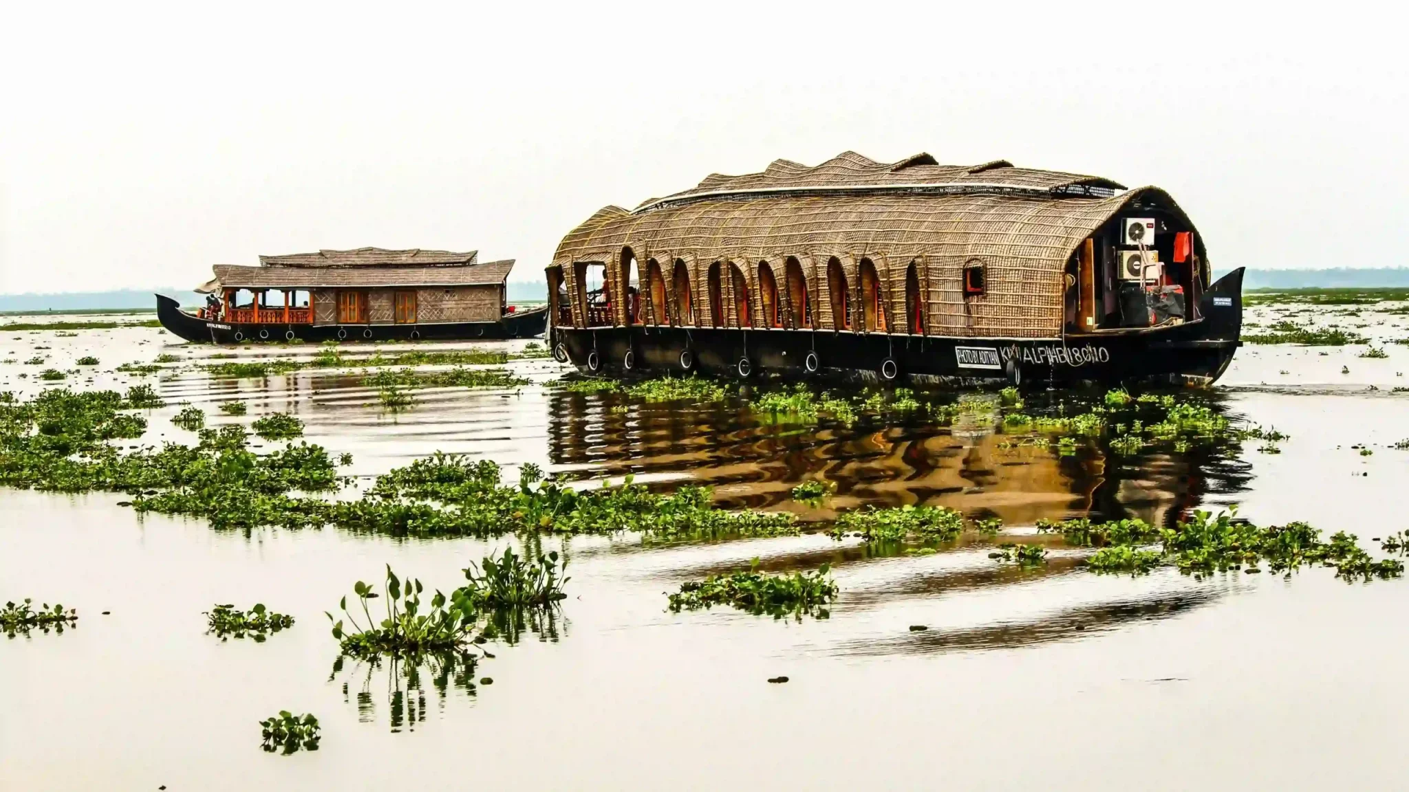 Houseboats on Kerala backwaters during an Alleppey travel package tour, surrounded by lush greenery. 