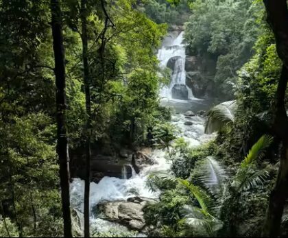 travel agency in Kerala