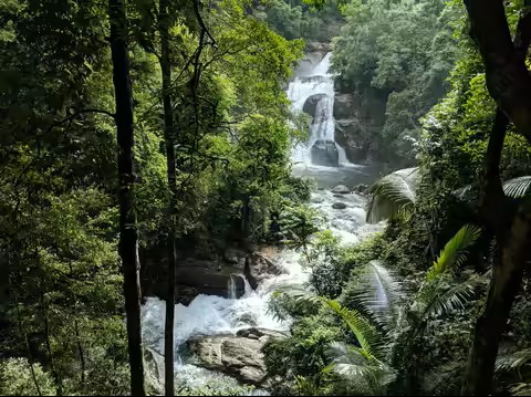 travel agency in Kerala